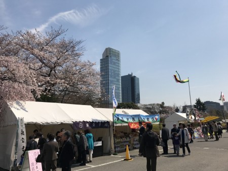 Cherry blossoms and food stalls at Zojoji temple in Tokyo