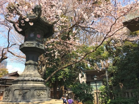 Dove cote in Yasukuni shrine