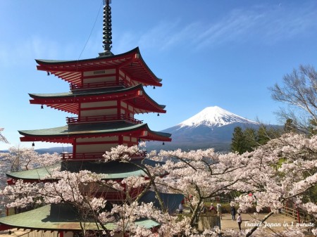 Cherry blossoms,Mt.Fuji and Chureito pagoda Arakurayama Sengen Park