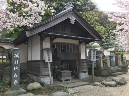 Cherry blossoms and Enmei Jizouson at Komyoji temple in Kamakura
