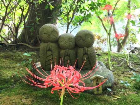 spider lily and Jizo statue in Hase Temple