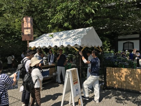 Entrance of the hydrangea path at Hase Temple in Kamakura