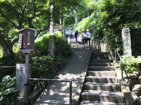 Entrance of hydrangea path at Hase Temple in Kamakura