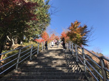 Autumn leaves in Arakurayama Sengen Park