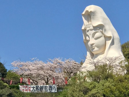 Ofuna Kannon and cherry blossoms