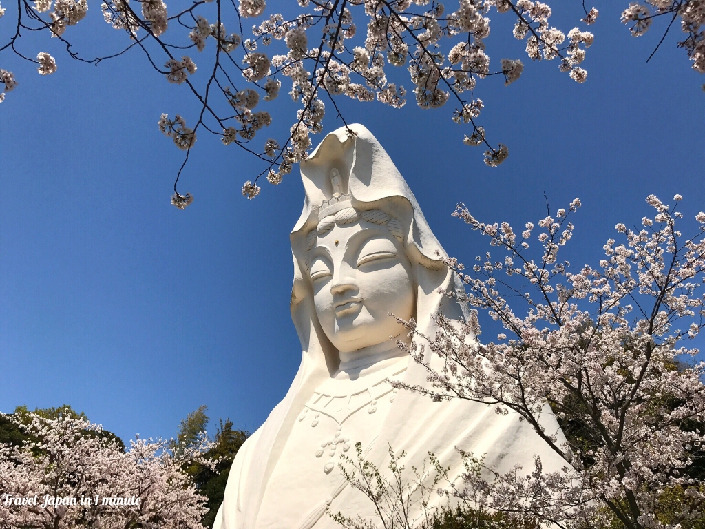 Ofuna Kannon and cherry blossoms
