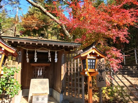 Autumn leaves in Arakurayama Sengen Park