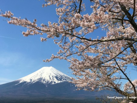 Mt.Fuji at Arakurayama Sengen Park