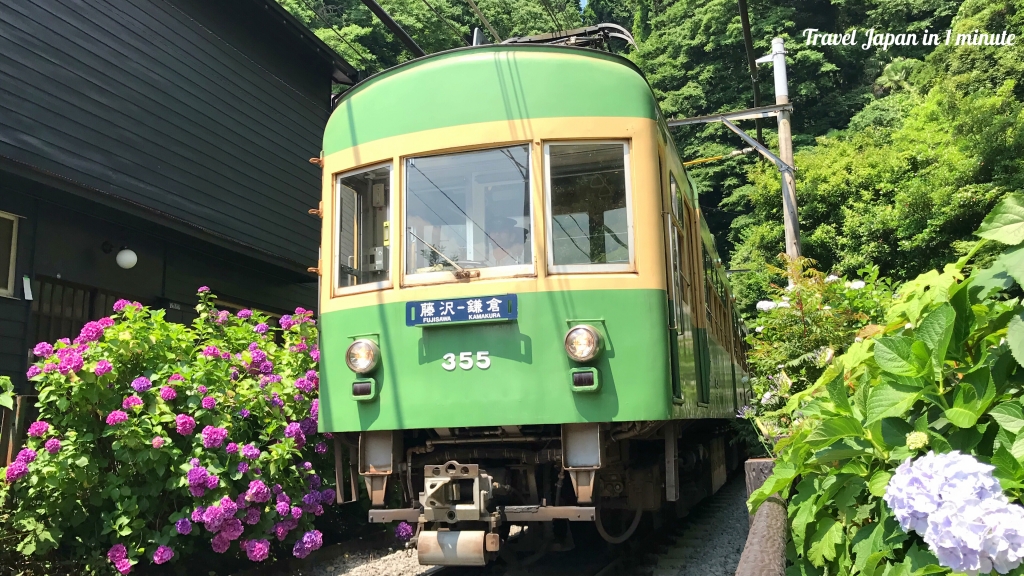 Must see scenery of hydrangea with nostalgic train at Goryo Jinja shrine