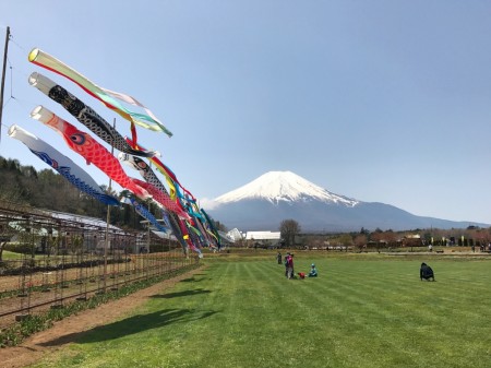 Carp streamer and Mt.Fuji Hanano Miyako Koen park