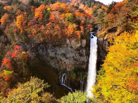 Autumn leaves of Kegon falls 