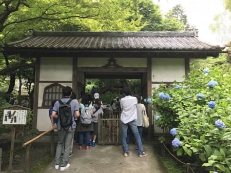 Ticket counter at Meigetsuin temple in Kamakura