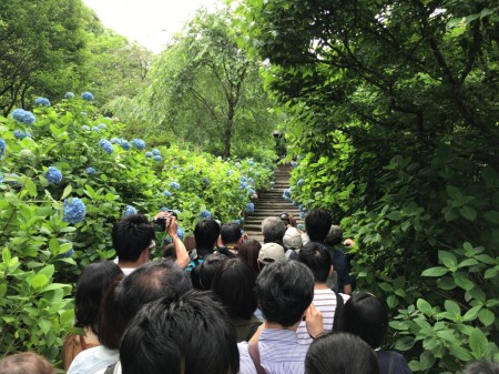 Meigetsuin in Kamakura