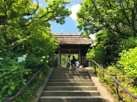 Sanmon gate at Tokeiji temple in Kamakura
