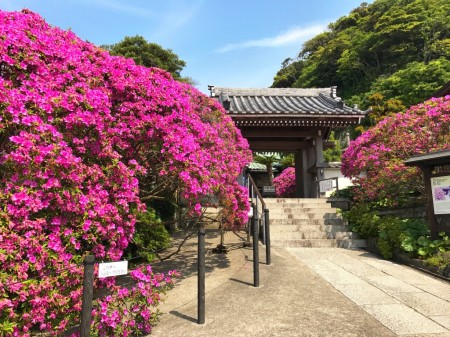 Anyoin temple in Kamakura