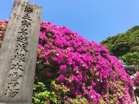 Anyoin temple in Kamakura