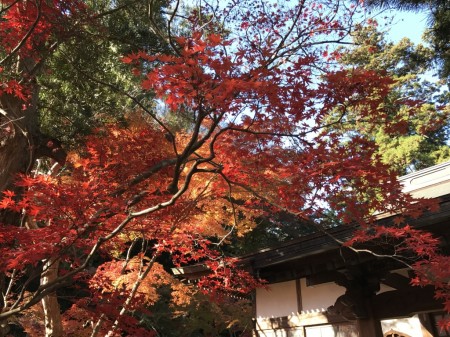 Kakuonji temple in Kamakura