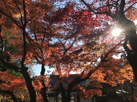 Kakuonji temple in Kamakura