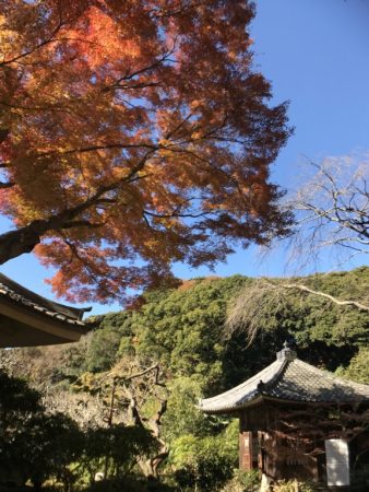 Main hall and autumn leaves in Zuisenji temple