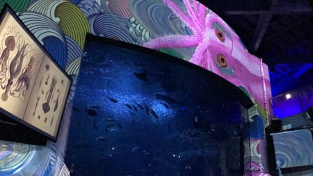 Night Wonder Aquarium in Shin Enoshima Aquarium