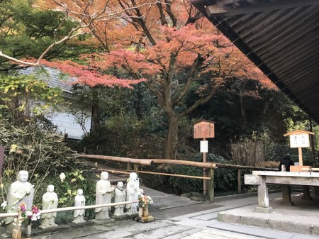 Entrance of inner garden in Meigetsuin in Kamakura