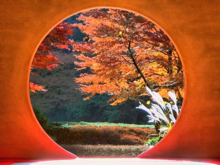 Circular window in the main hall(Hojo) with autumn leaves at Meigetsuin in Kamakura