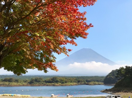 Autumn leaves and Mount Fuji at the lake Shojiko