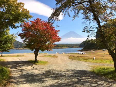 Autumn leaves and Mount Fuji at the lake Shojiko