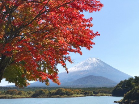 Autumn leaves and Mount Fuji at the lake Shojiko