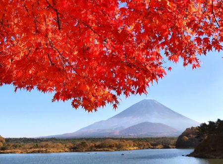 Autumn leaves and Mount Fuji at the lake Shojiko