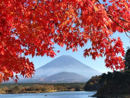 Autumn leaves and Mount Fuji at the lake Shojiko