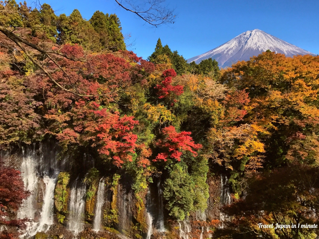 Mt.Fuji & autumn leaves at Shiraito Falls