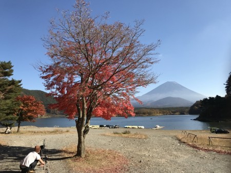 Autumn leaves and Mount Fuji at the lake Shojiko