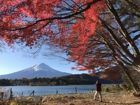 Momiji tunnel