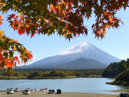 Autumn leaves and Mount Fuji at the lake Shojiko