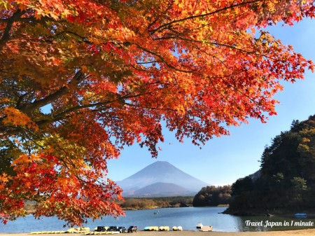 Autumn leaves and Mount Fuji at the lake Shojiko