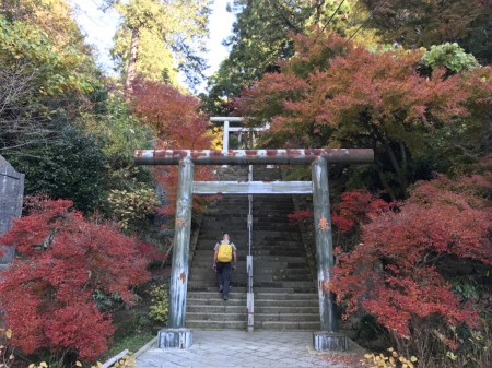 Autumn leaves in Hansobo in Kenchoji temple
