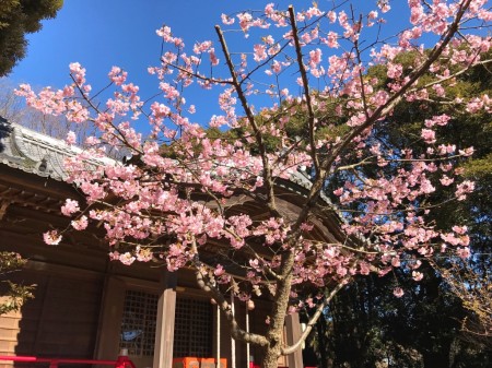 Azuma shrine in Ninomiya town