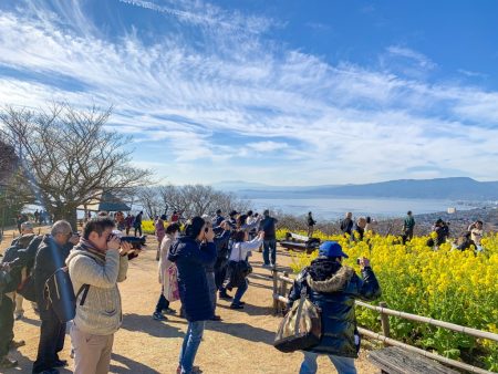 field mustard at Azumayama Park in Ninomiya city