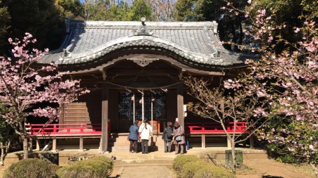 Azuma shrine in Ninomiya town