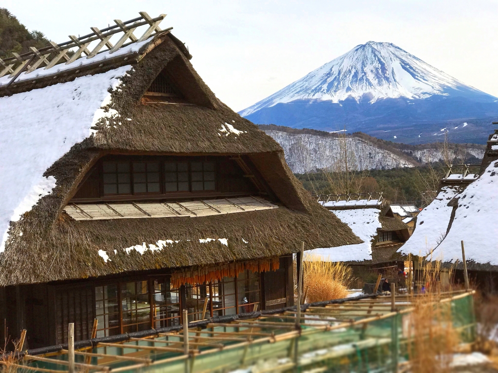 Japanese traditional house and Mt.Fuji at Saiko Iyashino Sato Nenba