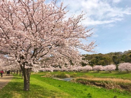 Hikichigawa Shinsui Koen Park