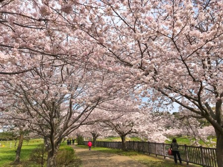 Hikichigawa Shinsui Koen Park