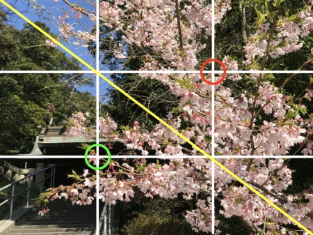 Cherry blossoms in Amanawa Jinmyo Shrine