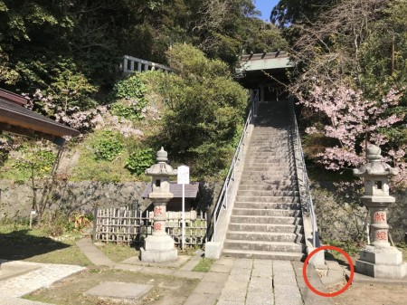 Cherry blossoms in Amanawa Jinmyo Shrine