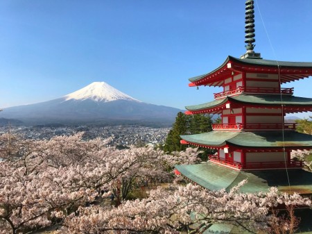 Cherry blossoms,Mt.Fuji and Chureito pagoda Arakurayama Sengen Park