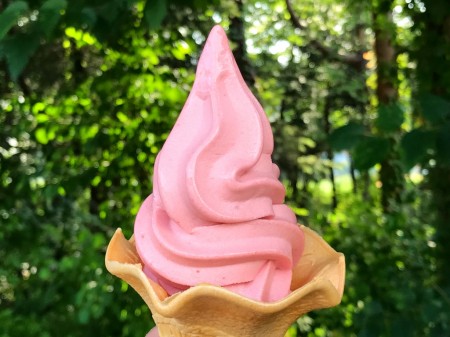 soft ice cream at Hanano Miyako Koen park
