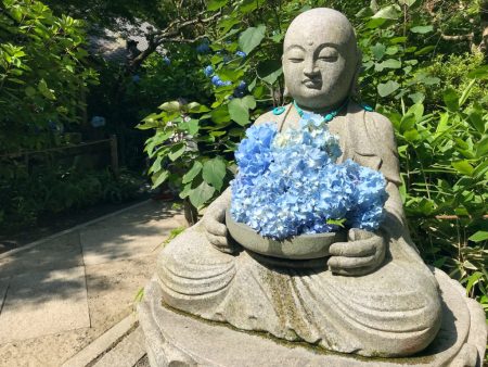 Hydrangea and Jizo statue in Meigetsuin Temple