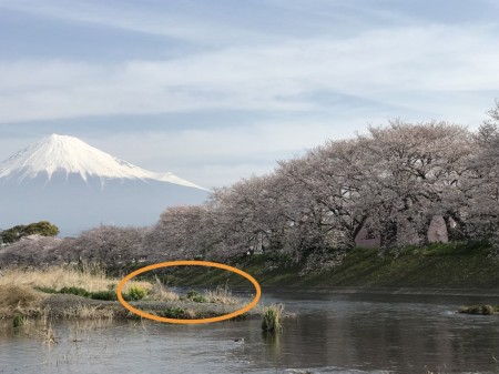 Best photo spot of Ryuganbuchi