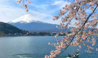 Mount Fuji and cherry blossoms in Ubugayasaki